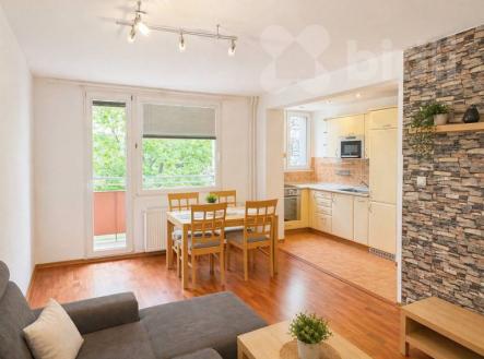 Pronájem bytu 2+kk, 44 m2, ul. Jar. Haška, České Budějovice | Pronájem bytu, 2+kk, 44 m²