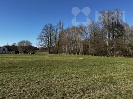 Pozemek v obci Svébohy určen v ÚP k výstavbě | Prodej - pozemek, trvalý travní porost, 3 293 m²