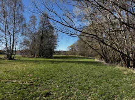 Pozemek v obci Svébohy určen v ÚP k výstavbě | Prodej - pozemek, trvalý travní porost, 3 293 m²