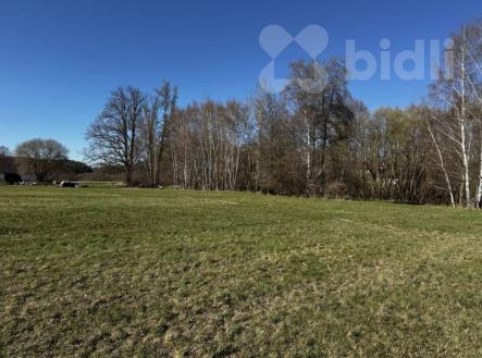 Pozemek v obci Svébohy určen v ÚP k výstavbě | Prodej - pozemek, trvalý travní porost, 3 293 m²