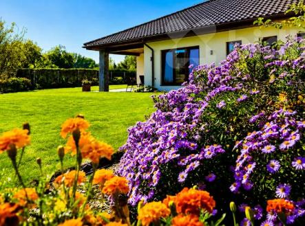 Prodej moderního rodinného domu vyšší třídy 220 m2, pozemek 1243 m2, Lužická, Šternberk | Prodej - dům/vila, 220 m²