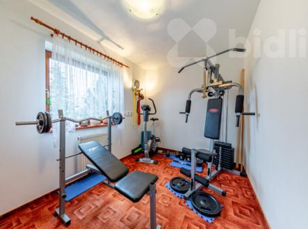 Prostorný rodinný dům 7+kk s velkou zahradou, garáží a romantickým jezírkem | Prodej - dům/vila, 221 m²