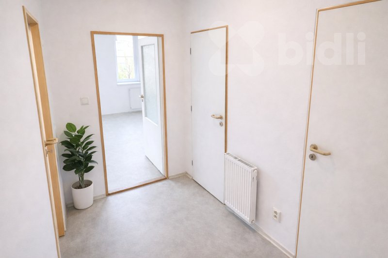 Prodej světlého bytu 1+kk, Holešov - ul. Novosady