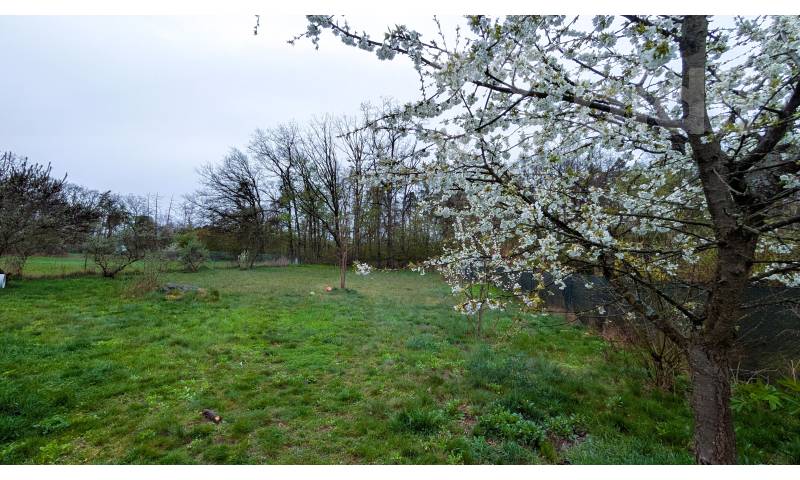 Vytvořte si rodinné víkendové útočiště - pozemek 750 m² v Pyšelích s možností stavby