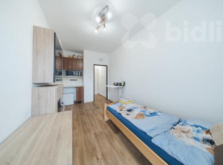 Prodej, byt 1+kk, Třinec, ul. Beskydská | Prodej bytu, 1+kk, 17 m²