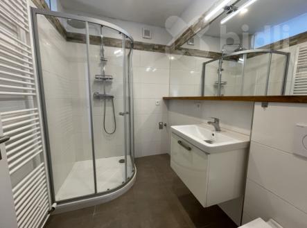 Pronájem bytu 2+1 - Dvůr Králové | Pronájem bytu, 2+1, 65 m²
