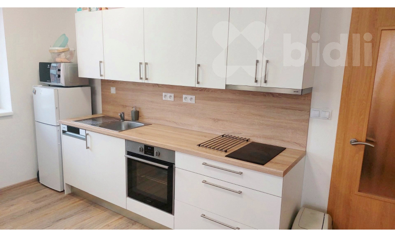 Pronájem bytu 2+kk 48m2 - Brno, Kamechy