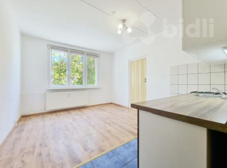 Pronájem bytu 1+1, 35 m2, Jirkov, ul. Vinařická | Pronájem bytu, 1+1, 37 m²