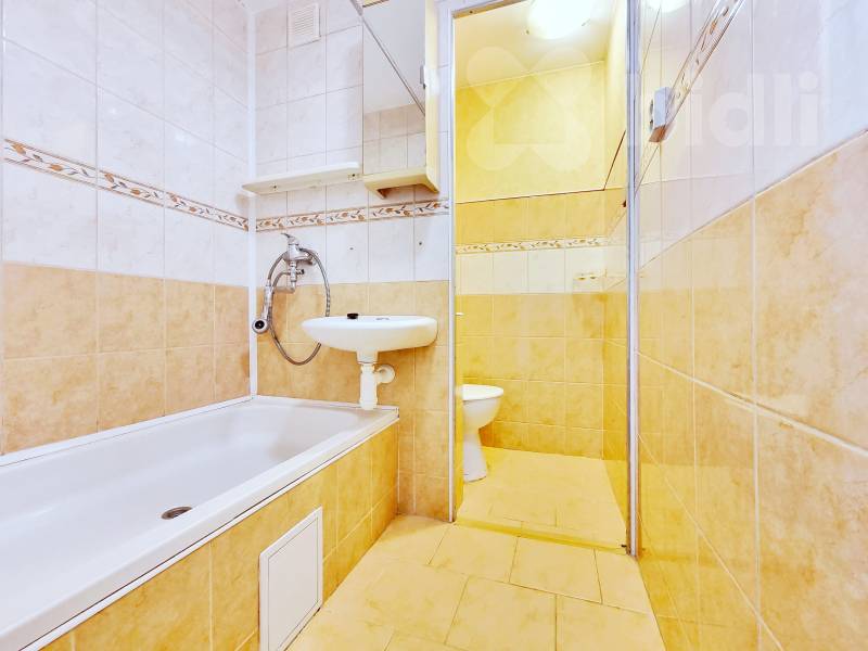 Pronájem bytu 1+1, 35 m2, Jirkov, ul. Vinařická