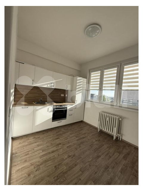 Pronájem bytu 1+1, 47m2