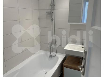 Pronájem bytu 1+1, 47m2 | Pronájem bytu, 1+1, 47 m²