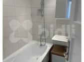 Pronájem bytu, 1+1, 47 m²