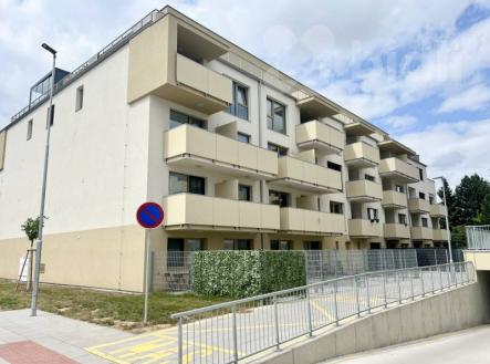 Pronájem bytu 1+kk, 33m2, Olomouc | Pronájem bytu, 1+kk, 37 m²