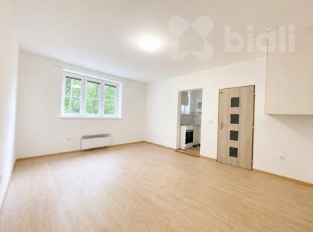 Pronájem bytu 1+1 Dvůr Králové | Pronájem bytu, 1+1, 28 m²
