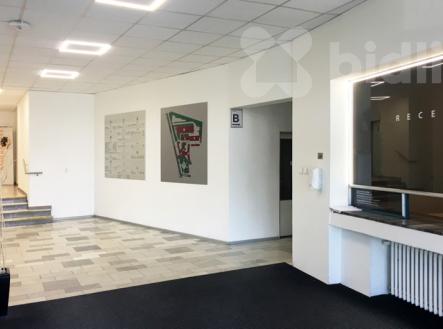 Pronájem kanceláře Brno s parkováním. | Pronájem - kanceláře, 30 m²