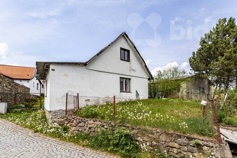 Dražíč
