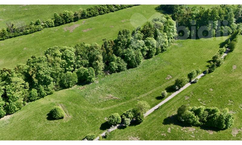 Prodej pozemku 7 411 m2, Nový Jičín - Horní Předměstí