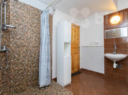 Prodej vesnického statku se dvěma domy 840 m2, pozemek 2253 m2,Byňov u Nových Hradů | Prodej - dům/vila, 840 m²