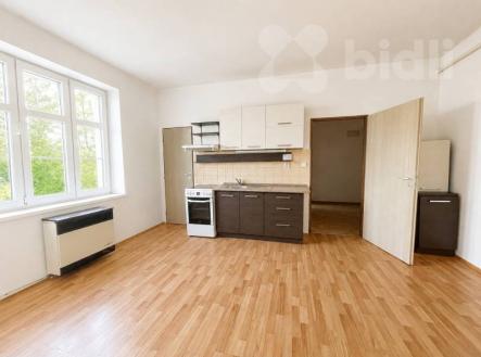Pronájem bytu 1+1 Dvůr Králové Nábřeží | Pronájem bytu, 1+1, 55 m²