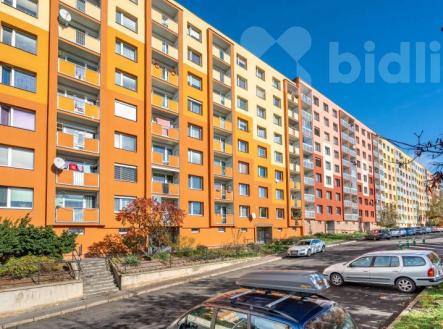 Prodej bytu 1+1 v osobním vlastnictví, 33 m2, Ústí nad Labem - Severní Terasa, ul. Kmochova | Prodej bytu, 1+1, 33 m²