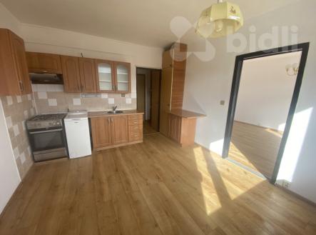 Prodej bytu 1+1 v osobním vlastnictví, 33 m2, Ústí nad Labem - Severní Terasa, ul. Kmochova | Prodej bytu, 1+1, 33 m²