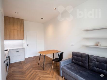 Upraveno- Světla budou instalována a nemusí odpovídat vizalizaci | Pronájem bytu, 2+kk, 50 m²