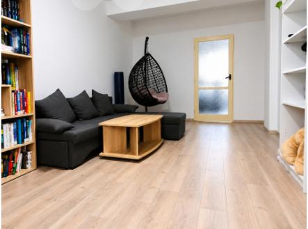 Pronájem útulného bytu 2+1, 52 m2, Týniště nad Orlicí - ul. Družstevní | Pronájem bytu, 2+1, 55 m²