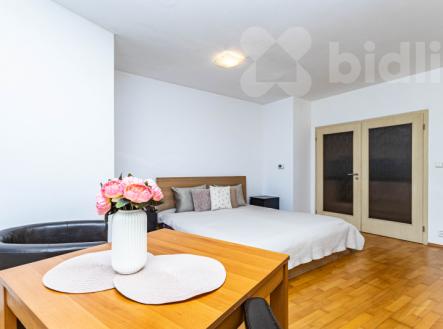 Světlý byt 1+1, 49 m2 + GS, Praha - Radlice | Prodej bytu, 1+1, 49 m²