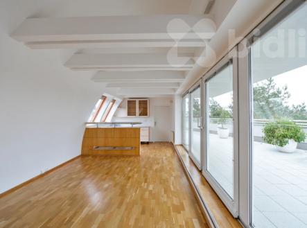 podkroví s velkou terasou | Pronájem - dům/vila, 379 m²