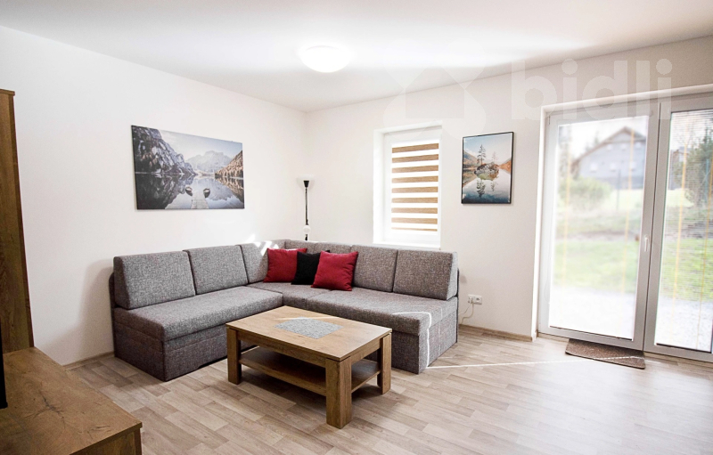 Prodej apartmánu 2+kk, 45 m2 - Červená Voda, Mlýnický Dvůr