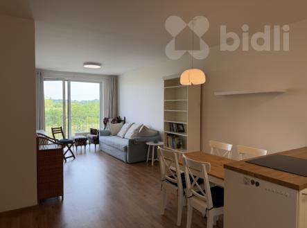 Pronájem kompletně zařízeného bytu 2+kk (60 m²) | Pronájem bytu, 2+kk, 60 m²