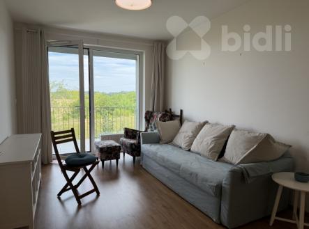 Pronájem kompletně zařízeného bytu 2+kk (60 m²) | Pronájem bytu, 2+kk, 60 m²