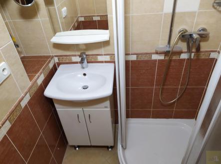 1644931629494.jpg | Pronájem bytu, 2+1, 53 m²