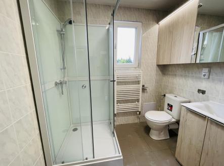 IMG_6408.jpeg | Pronájem bytu, 2+1, 54 m²