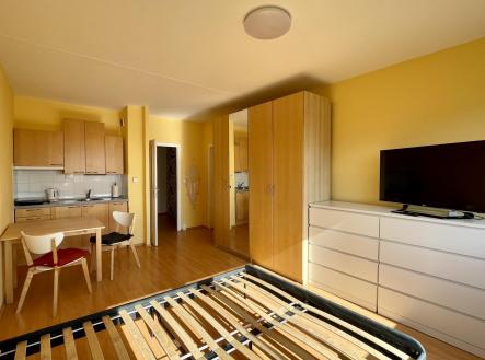 IMG_5442.jpg | Pronájem bytu, 1+kk, 30 m²
