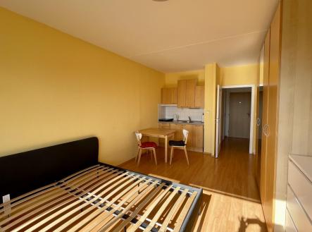 IMG_5441.jpg | Pronájem bytu, 1+kk, 30 m²