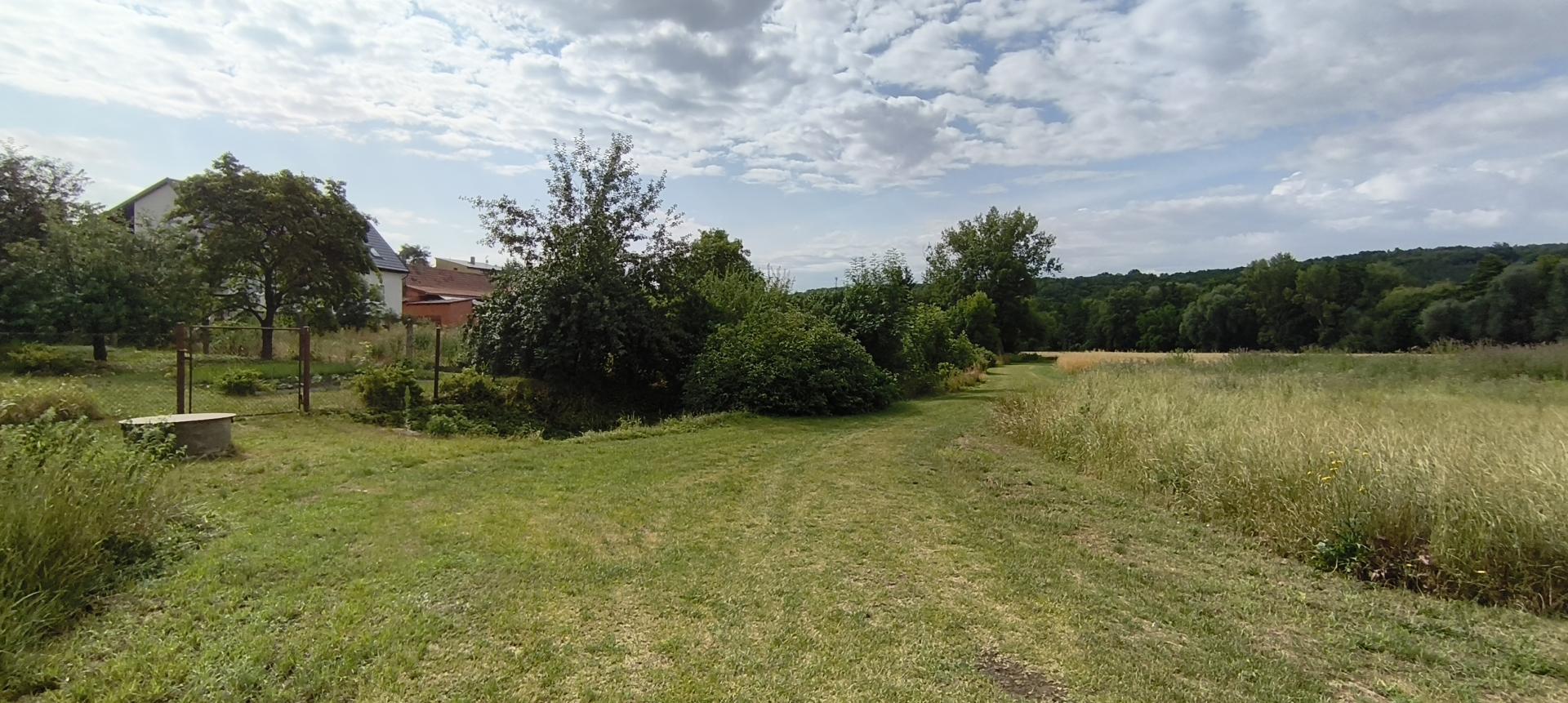 IMG_20250716_093823 - 5.jpg