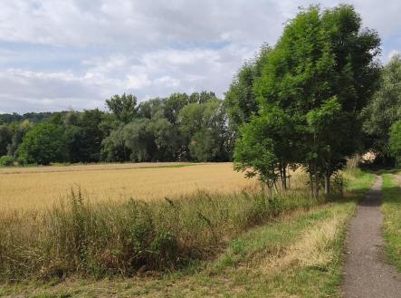 IMG_20250716_093643 -2.jpg | Prodej - pozemek, zahrada, 2 079 m²