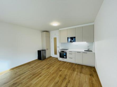 IMG_9692.jpeg | Pronájem bytu, 1+kk, 34 m²