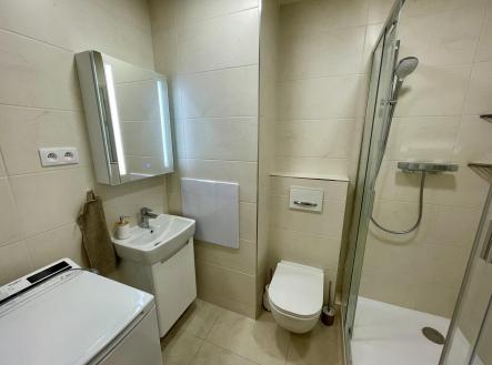 IMG_8545.jpeg | Pronájem bytu, 3+kk, 54 m²