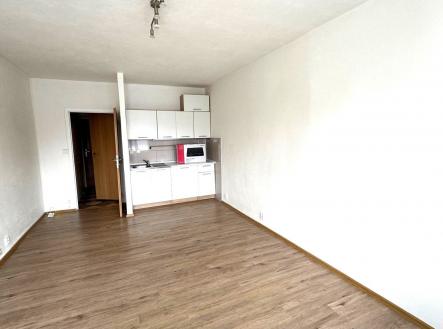 IMG_5142 | Pronájem bytu, 1+kk, 28 m²