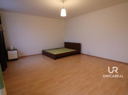 IMG_9506 | Pronájem bytu, 1+kk, 36 m²