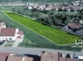 Prodej - pozemek pro bydlení, 6 046 m²