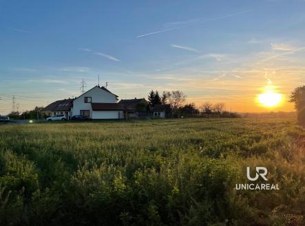 Prodej pozemku Sokolnice, okres Brno-venkov | Prodej - pozemek pro bydlení, 6 046 m²