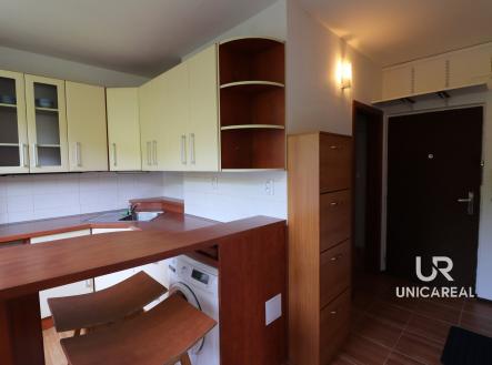 IMG_6487 | Pronájem bytu, 1+1, 32 m²
