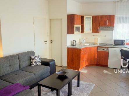 taborska_pronajem_o6pb2po6pb2po6pb | Pronájem bytu, 1+kk, 33 m²