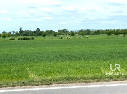 prodej-pole-11-752-m2-brno-turany-4-b8044c | Prodej - pozemek, zemědělská půda, 11 752 m²