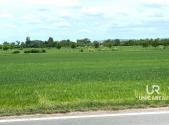 Prodej - pozemek, zemědělská půda, 11 752 m²