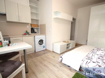 3.JPG | Pronájem bytu, 1+kk, 22 m²
