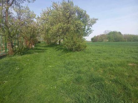 435707672_1097131211554132_480689057038247348_n | Prodej - pozemek, ostatní, 7 512 m²